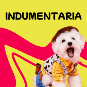 Ropa e indumentaria