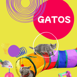 Gatos