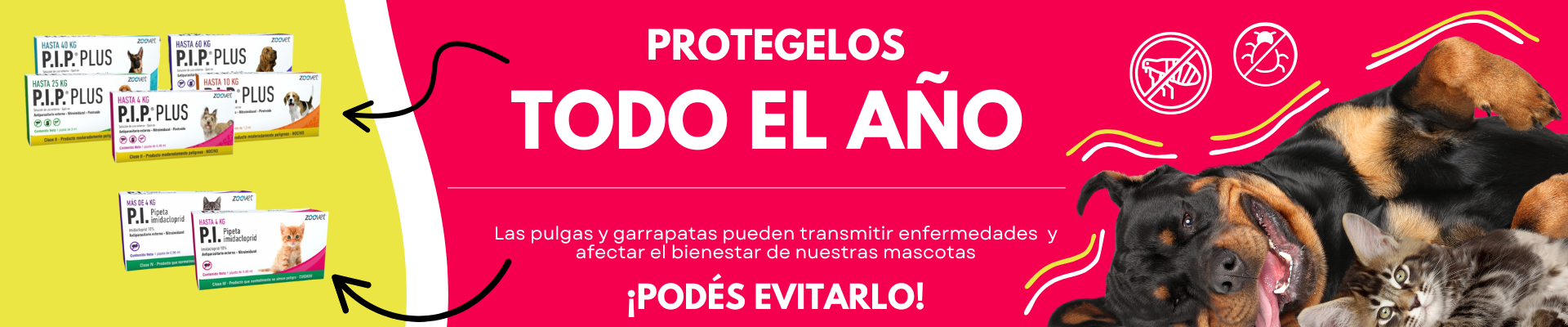 White Bold International Mountain Day Video (1920 x 400 px)